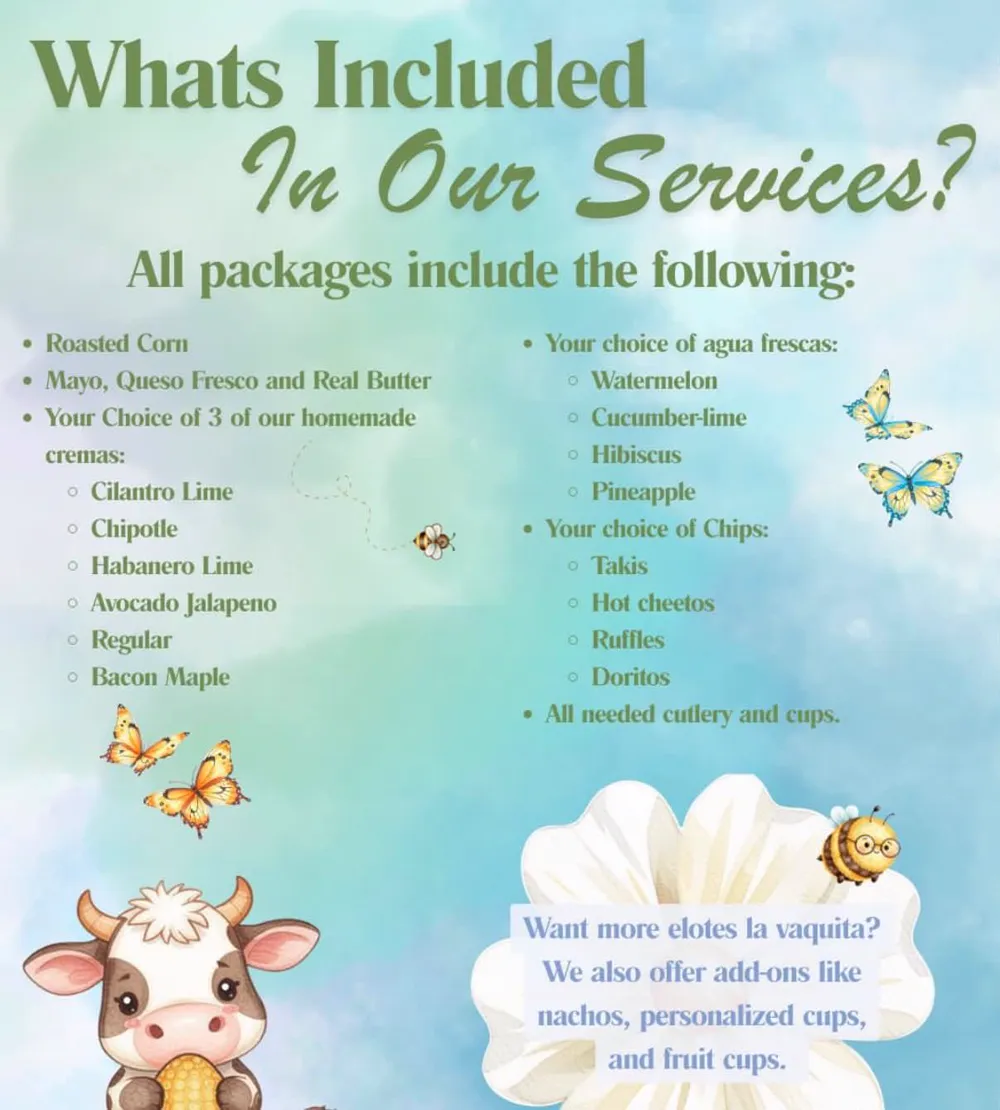 Flyer: what is included in every package